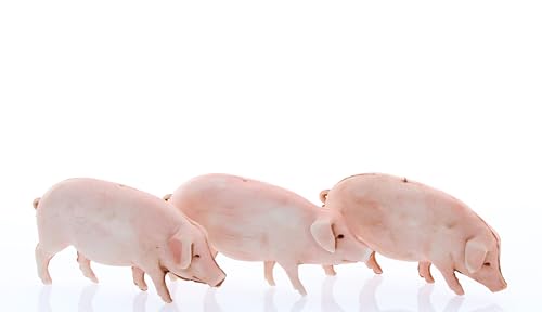 Moranduzzo 3 Schweine Sortiert für Krippe 10 cm Maßstab 1:20 - Unzerstörbare Krippenfiguren - Handbemalt, Offizielles Produkt, Hergestellt in Italien, Bildhauer M. Landi Moranduzzo 3 Schweine Sortiert für Krippe 10 cm Maßstab 1:20 - Unzerstörbare Krippenfiguren - Handbemalt, Offizielles Produkt, Hergestellt in Italien, Bildhauer M. Landi von Moranduzzo