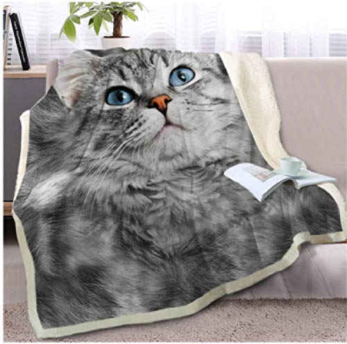 Morbuy Samt Leichte Decke, 3D Kuscheldecke Sofadecke Bettüberwurf Erhältlich Decke Tagesdecke Decke für Sofa und Bett Falten-beständig Schmusedecke (150x130cm,Graue Katze) von Morbuy