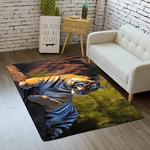 Morbuy 3D Tiger Tier Drucken Teppich Wohnzimmer Flanell Kurzflor Teppiches, Modernes Teppich Waschbar rutschfest Krabbelmatte für Kinderzimmer Schlafzimmer Dekoration (80x160cm,gelber Tiger) von Morbuy