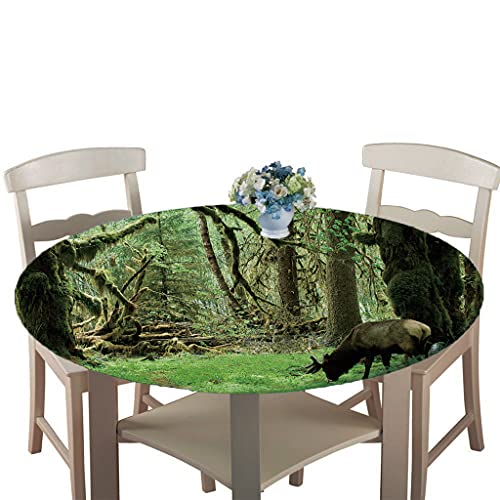 Morbuy Abwaschbar Tischdecke Rund Antifouling Wasserdicht Pflegeleicht Tischtuch Mit Elastische Kante Knitterfrei Wischbar Für Terrasse Innen- Draussen Esstisch (120cm,Wald) von Morbuy