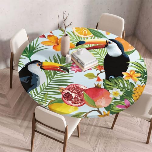 Morbuy Elastische Tischdecke Rund Abwaschbar, 3D Tropisch Blume Muster Tischdecke Wasserdicht Schmutzabweisend Gartentischdecken Tischtuch für Party Küche Esszimmer (Granatapfel + Vogel,140cm) von Morbuy
