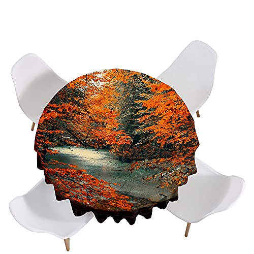 Morbuy Herbst Landschaft Drucken Tischdecke Rund Abwaschbar, Tischdecken Wasserdicht Lotuseffekt Abwischbar Tischtuch in Verschiedenen Größen für Küchentisch Garten Outdoor (180cm,Orange Wald) von Morbuy