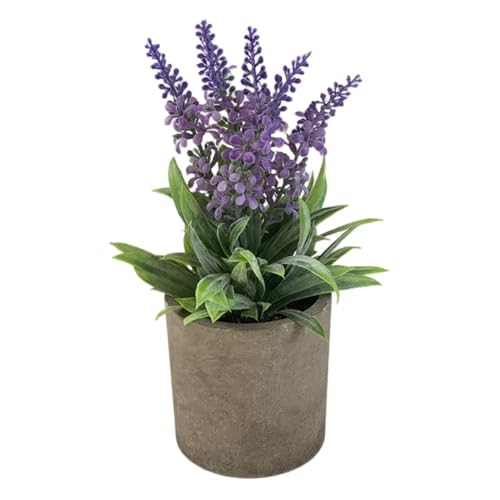 Morbuy Kunstpflanze im Topf Nordic Mini Topfpflanze Realistische Künstliche Blumen Grün Plastik Pflanzen Innen Deko Desktop Bonsai für Balkon, Wohnzimmer, Schlafzimmer Deko (Salbei) von Morbuy