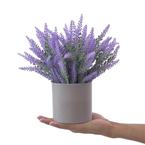 Morbuy Lavendel Kunstblumen Kunstpflanze im Topf Künstliche Pflanzen Romantisch Lila Lavendel Innen Deko Topfpflanze für Hochzeit, Tisch, Wohnzimmer, Schlafzimmer, Zimmer Deko (Lavendel) von Morbuy