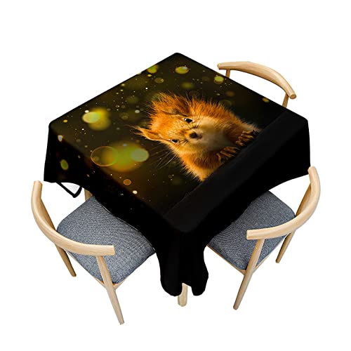Morbuy Outdoor-Tischdecken Quadratisch, Eichhörnchen Muster Tischdecke Wasserdicht Küchentischdecke Abwischbar Fleckschutz Tischtuch für Restaurant Garten Party (100x100cm,Braun Eichhörnchen) von Morbuy