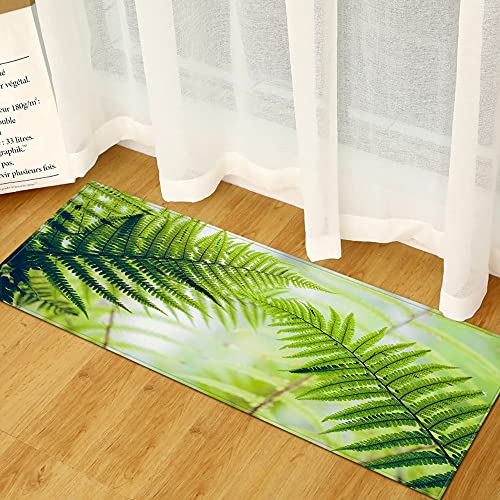 Morbuy Personalisierte Fußmatte Rutschfester Türvorleger mit 3D Pflanzendruck, Schmutzfangmatte Waschbar Fussmatte Innen Badteppiche (40x60cm,Grüner Farn) von Morbuy