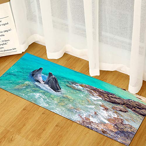 Morbuy Personalisierte Fußmatte Rutschfester Türvorleger mit 3D-Seedruck, Schmutzfangmatte Waschbar Fussmatte Innen Badteppiche (50x80cm,Schwarzer Delphin) von Morbuy
