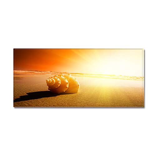 Morbuy Personalisierte Fußmatte Rutschfester Türvorleger mit 3D Strand Muschel Seestern Drucken, Schmutzfangmatte Waschbar Fussmatte Innen Badteppiche (40x120cm,Sonnenuntergang Muscheln) von Morbuy