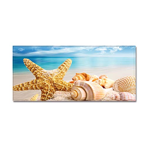 Morbuy Personalisierte Fußmatte Rutschfester Türvorleger mit 3D Strand Muschel Seestern Drucken, Schmutzfangmatte Waschbar Fussmatte Innen Badteppiche (40x60cm,Seestern und Muschel) von Morbuy