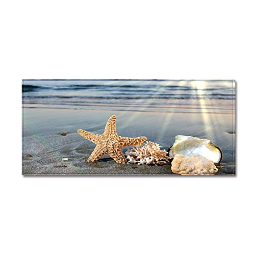 Morbuy Personalisierte Fußmatte Rutschfester Türvorleger mit 3D Strand Muschel Seestern Drucken, Schmutzfangmatte Waschbar Fussmatte Innen Badteppiche (60x90cm,Sonnenschein Shell) von Morbuy