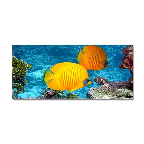 Morbuy Personalisierte Fußmatte Rutschfester Türvorleger mit 3D Unterwasserfische Drucken, Schmutzfangmatte Waschbar Fussmatte Innen Badteppiche (40x120cm,Gelber Fisch) von Morbuy