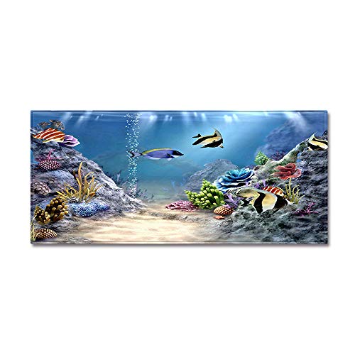 Morbuy Personalisierte Fußmatte Rutschfester Türvorleger mit 3D Unterwasserfische Drucken, Schmutzfangmatte Waschbar Fussmatte Innen Badteppiche (50x80cm,Aquarium) von Morbuy