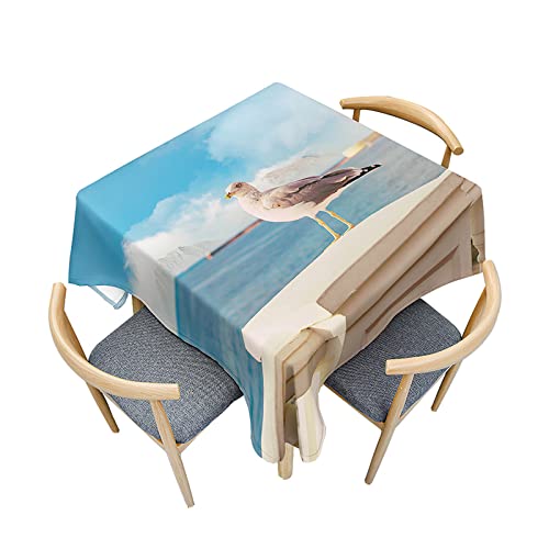 Morbuy Quadratische Tischdecken, Möwe Muster Tischdecke Wasserdicht Küchentischdecke Fleckschutz Tischtuch für Dekoration Restaurant Garten Party Outdoor (100x100cm,Blaues Meer) von Morbuy