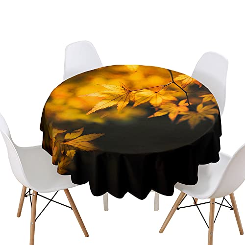 Morbuy Rund Tischdecke, Blätter Drucken Rund Tischdecken Wasserdicht Lotuseffekt Abwischbar Abwaschbar Tischtuch für Dekoration Küchentisch Garten Outdoor (Durchmesser 160cm,Ahornbäume) von Morbuy