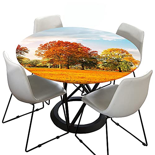Morbuy Rund Tischdecke Elastisch, 3D Herbst Drucken Rund Tischdecken Wasserdicht Lotuseffekt Abwaschbar Abwischbar Tischtuch für Dekoration Küchentisch Garten Outdoor (120cm,Baum) von Morbuy
