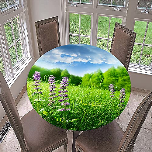 Morbuy Rund Tischdecke Elastisch, Landschaft Rund Tischdecken Wasserdicht Lotuseffekt Abwaschbar Abwischbar Tischtuch für Dekoration Küchentisch Garten Outdoor (Durchmesser 90cm,Wiese) von Morbuy