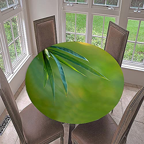 Morbuy Rund Tischdecke Elastisch, Lotuseffekt Tischdecke Abwaschbar Tischdecken Bambus Drucken Gartentischdecke Indoor Outdoor Tischtuch (Durchmesser 110cm,Bambus-Wald) von Morbuy