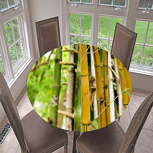 Morbuy Rund Tischdecke Elastisch, Lotuseffekt Tischdecke Abwaschbar Tischdecken Bambus Drucken Gartentischdecke Indoor Outdoor Tischtuch (Durchmesser 100cm,Gelber Bambus) von Morbuy