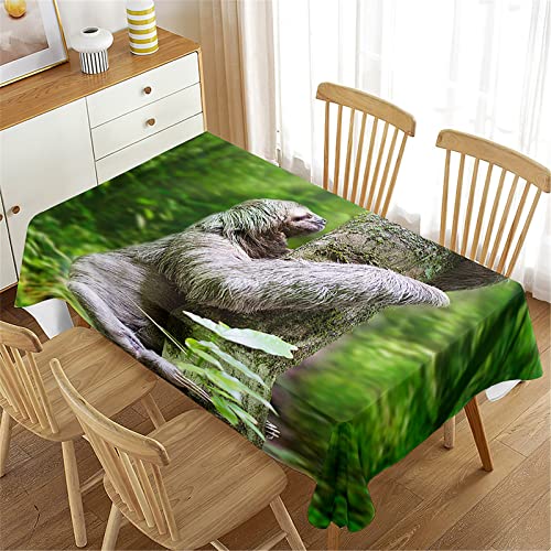 Morbuy Tischdecken Abwaschbar Rechteckig, 3D Faultier Muster Wasserdicht Lotuseffekt Küchentischdecke Tischdecke Tischtuch für Dekoration Garten Outdoor (140x160cm,Auf einen Baum Klettern) von Morbuy