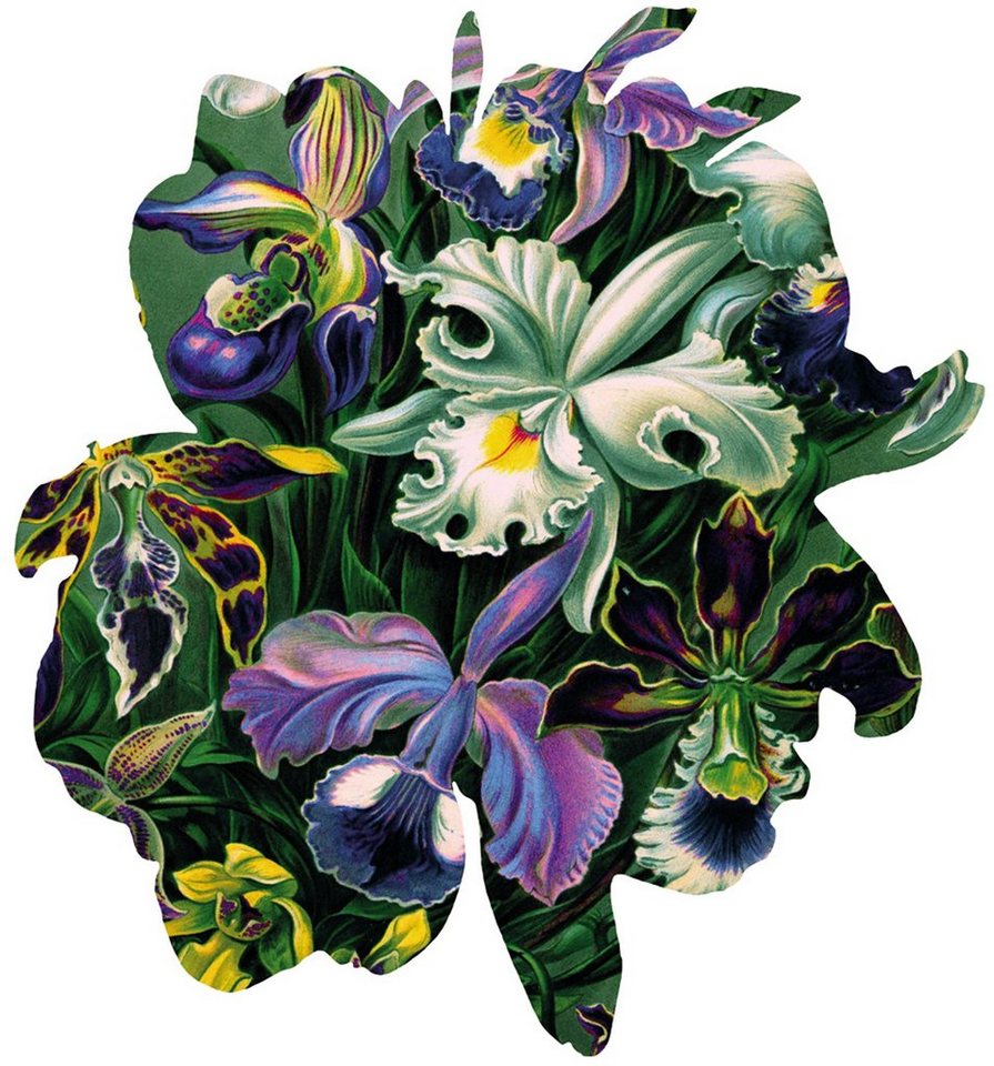 Designteppich MondiArt, ORCHIDS, B/L: ca. 200 x 220 cm, More2Home von More2Home