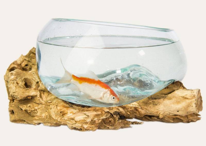 More2Home Dekovase Teak-Dekowurzel DROP-1, Glas mundgeblasen, rund 30 cm More2Home Dekovase Teak-Dekowurzel DROP-1, Glas mundgeblasen, rund 30 cm von More2Home