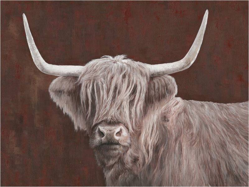 More2Home Leinwandbild MondiArt, HIGHLAND CUTIE, M: 90 x 120 cm von More2Home