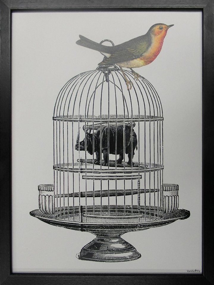 More2Home Wandbild MondiArt, BIRD AND CAGE, Rahmen schwarz, S : 30 x 40 cm von More2Home