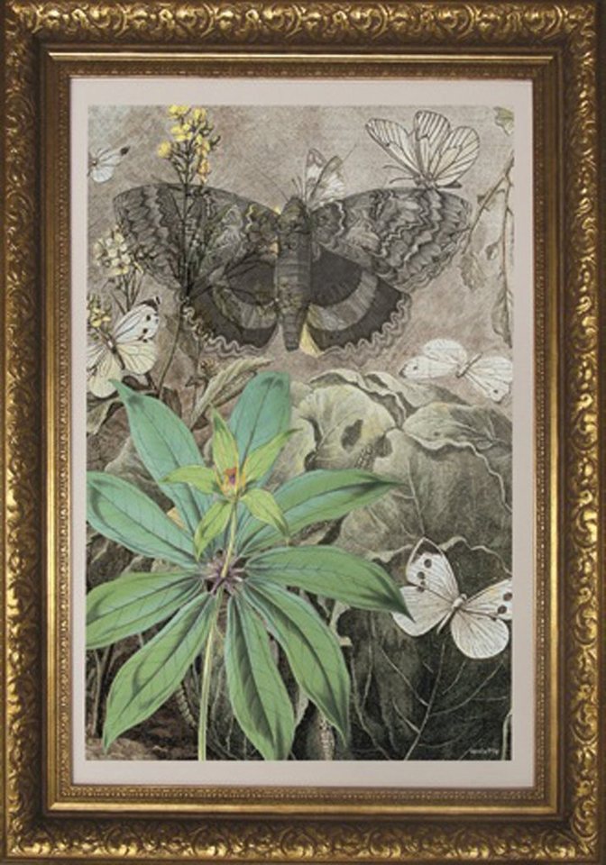 More2Home Wandbild MondiArt, BUTTERFLIES, Barockrahmen gold, M : 80 x 110 cm von More2Home