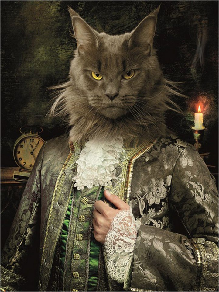 More2Home Wandbild MondiArt, ROYAL CAT, AluArt glänzend, L: 80 x 120 cm von More2Home