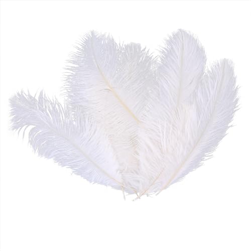 MoreChioce 10 Stück 25cm-30cm Natur Straussenfeder,Flauschige Strauß Feder Dekofedern Natürliche Bastel Federn DIY Basteln Zubehör für Haus Hochzeit Party Tisch Hüte Kleidung Dekoration,Weiß von MoreChioce