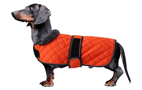 MOREZI Dackel Hund Winterjacke. wasserdichte Hundejacke. Mit Wolle, inneren und verstellbaren Schultergurten. Hundekleidung im Freien-Orange-L MOREZI Dackel Hund Winterjacke. wasserdichte Hundejacke. Mit Wolle, inneren und verstellbaren Schultergurten. Hundekleidung im Freien-Orange-L von Morezi