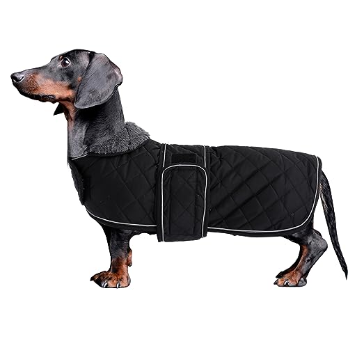 Morezi Dackel Hund Winterjacke. wasserdichte Hundejacke. Mit Wolle, inneren und verstellbaren Schultergurten. Hundekleidung im Freien-Schwarz-S von Morezi