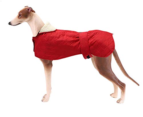 MOREZI Hundejacke, Wintermäntel, mit warmem Fleecefutter, verstellbarem Schultergurt und Klettverschluss für Wärme und Komfort-Rot-S von Morezi