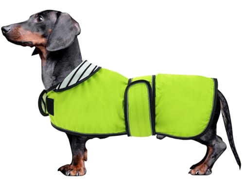 MOREZI Hunderegenmantel mit Reflexstreifen, Regen-/wasserdicht, verstellbare Weste, geeignet für kleine und mittelgroße Hunde wie Dackel-Grün-S MOREZI Hunderegenmantel mit Reflexstreifen, Regen-/wasserdicht, verstellbare Weste, geeignet für kleine und mittelgroße Hunde wie Dackel-Grün-S von Morezi