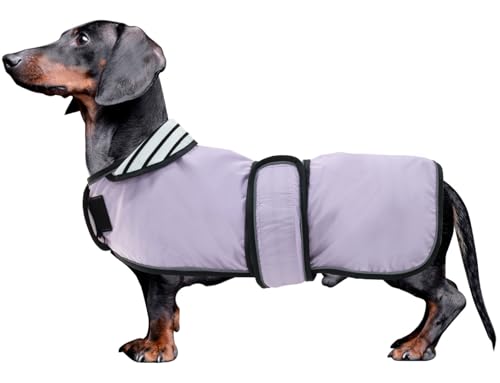 MOREZI Hunderegenmantel mit Reflexstreifen, Regen-/wasserdicht, verstellbare Weste, geeignet für kleine und mittelgroße Hunde wie Dackel-Lila-M MOREZI Hunderegenmantel mit Reflexstreifen, Regen-/wasserdicht, verstellbare Weste, geeignet für kleine und mittelgroße Hunde wie Dackel-Lila-M von Morezi