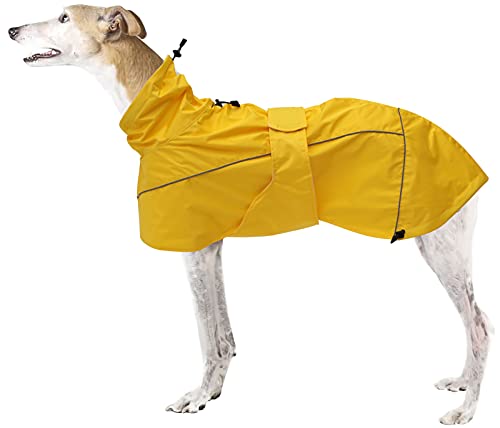 MOREZI Windhund-Regenmantel, regenfest/wasserdicht, hoher Bund mit verstellbarem Kordelzug und Hüftgurt, geeignet für Windhunde und ähnliche mittlere und große Jagdhunde-Gelb-2XL MOREZI Windhund-Regenmantel, regenfest/wasserdicht, hoher Bund mit verstellbarem Kordelzug und Hüftgurt, geeignet für Windhunde und ähnliche mittlere und große Jagdhunde-Gelb-2XL von Morezi