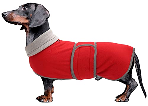 MOREZI Winterhundejacke mit wattiertem Flusenfutter, verstellbarem Klettknopf und hochklappbarem Stehkragen. Sehr gut geeignet für Dackel und kleine und mittelgroße Jagdhunde-Rot-M von Morezi