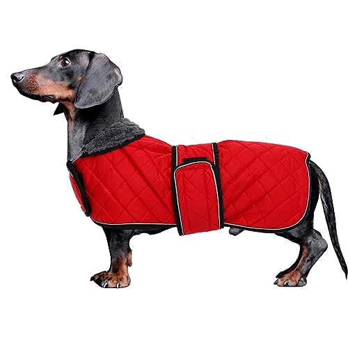 MOREZI Dackel Hund Winterjacke. wasserdichte Hundejacke. Mit Wolle, inneren und verstellbaren Schultergurten. Hundekleidung im Freien-Rot-XL von Morezi