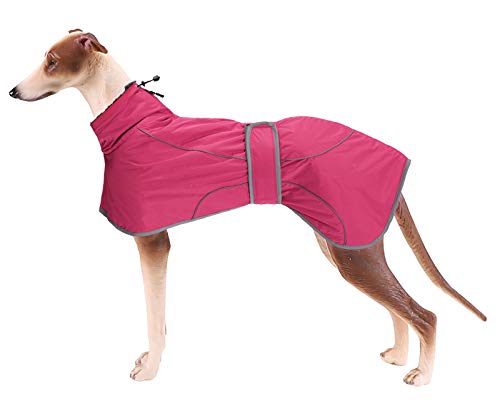 MOREZI Windhund-Wintermantel, Whippet-Mantel mit gepolstertem Fleece-Futter, Wasserabweisende Hundejacke mit verstellbaren Bändern und reflektierenden Elementen-Pink-XS MOREZI Windhund-Wintermantel, Whippet-Mantel mit gepolstertem Fleece-Futter, Wasserabweisende Hundejacke mit verstellbaren Bändern und reflektierenden Elementen-Pink-XS von Morezi
