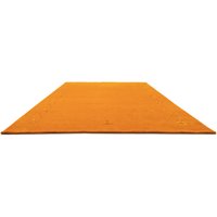 morgenland Wollteppich "GABBEH FEIN FENTH", rechteckig, 18 mm Höhe, reine Schurwolle bunte Bordüre, Wohnzimmer von Morgenland