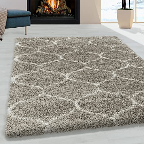 Morhane Salsa Shaggy Teppich hochflor rechteckig 120x170cm beige von Morhane