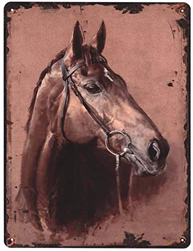 Blechschild Pferdekopf rechts 25 x 33 cm Deko Schild mit Aufdruck Aufschrift von Moritz
