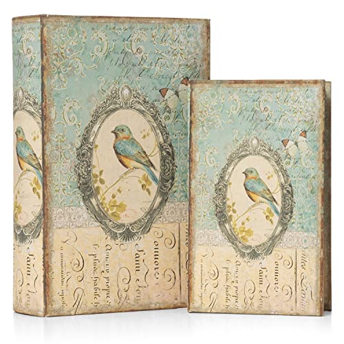 Moritz 2er Set Buchtresor Buchattrappe Deko Vogel im Spiegel Buch Safe Box Schatulle Buchhülle Geldversteck von Moritz