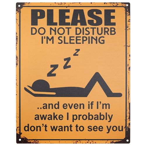 Moritz Blechschild 20 x 25 cm Please Do Not Disturb I´m Sleeping Deko Metallschild Retro Vintage Retro Sprüche lustig von Moritz