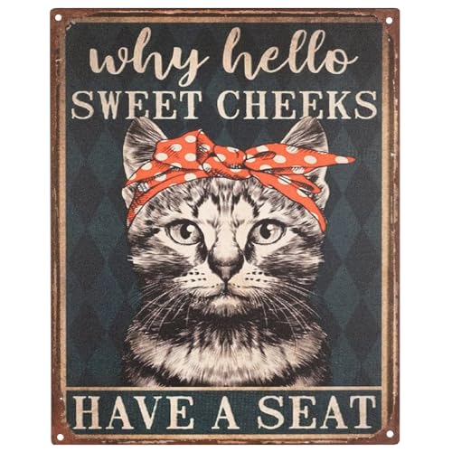 Moritz Blechschild 20 x 25 cm Why Hello Sweet Cheeks Have a Seat Deko Metallschild Retro Vintage Retro Sprüche lustig von Moritz