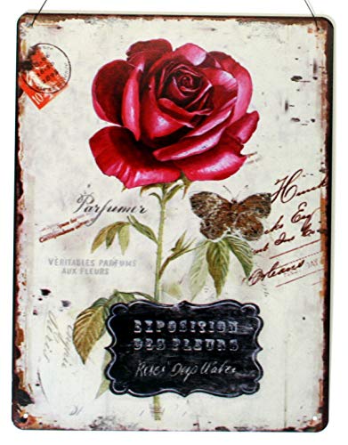 Blechschild rote Rose Exposition des Fleurs 25 x 33 cm Blumen Garten Deko Schild mit Aufschrift Aufdruck von Moritz