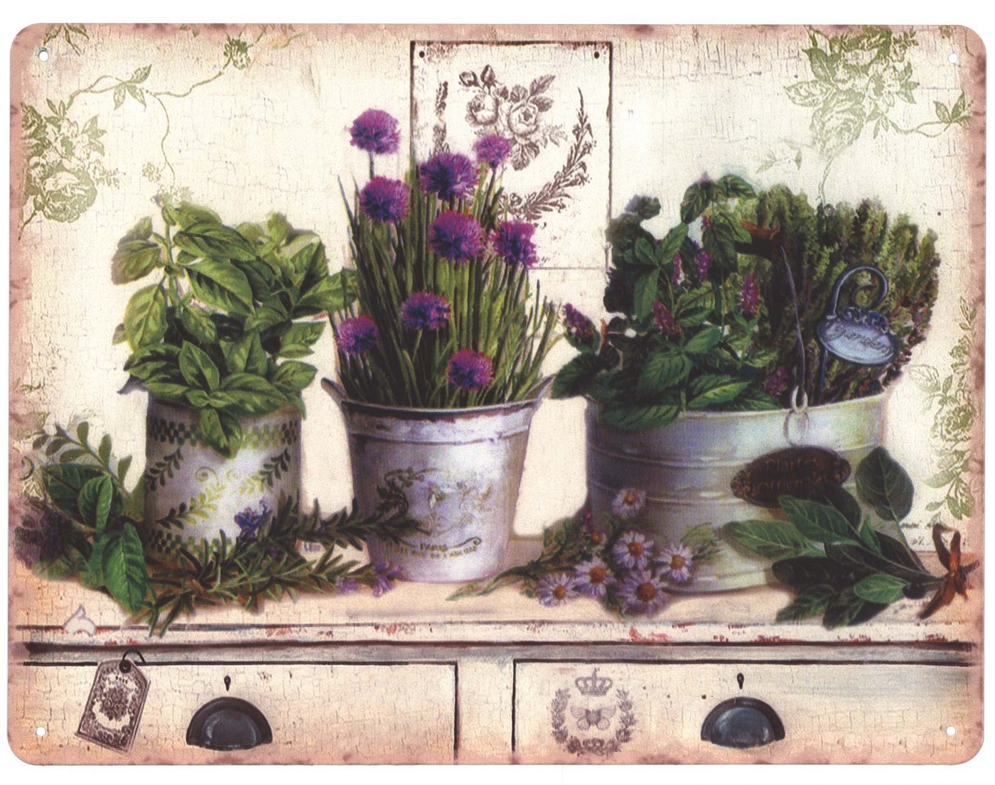 Moritz Metallschild Blechschild Pflanzen und Blumen in Töpfe, 25 x 33 cm Vintage Retro Deko Schild Metallschild Wandbild Schild von Moritz