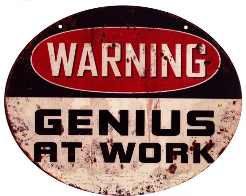 Moritz Metallschild Blechschild Warning Genius at Work, (Einzeln), 20 x 25cm Vintage Retro Deko Schild Metallschild Wandbild Schild von Moritz