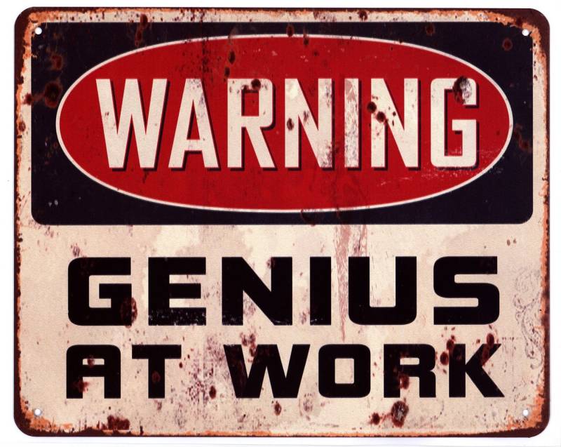 Moritz Metallschild Blechschild Warning Genius at Work, (Einzeln), 20 x 25cm Vintage Retro Deko Schild Metallschild Wandbild Schild von Moritz