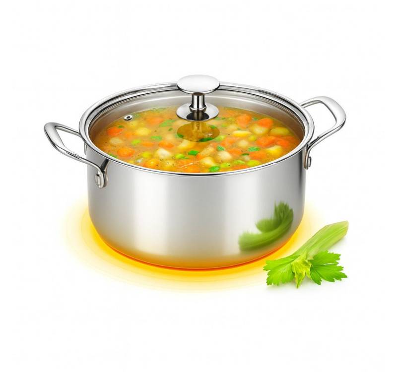 Morleos Kochtopf Ø 20 cm 3 Liter Edelstahl Suppentopf + flachem Glasdeckel, 18/10 Edelstahl (moderner flacher Glasdeckel mit Dampfloch, XSteel), Inkduktionsfähig bis 400 °C von Morleos